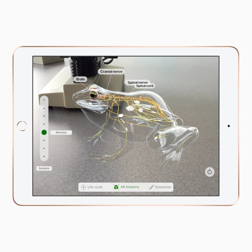 Apple iPad 6